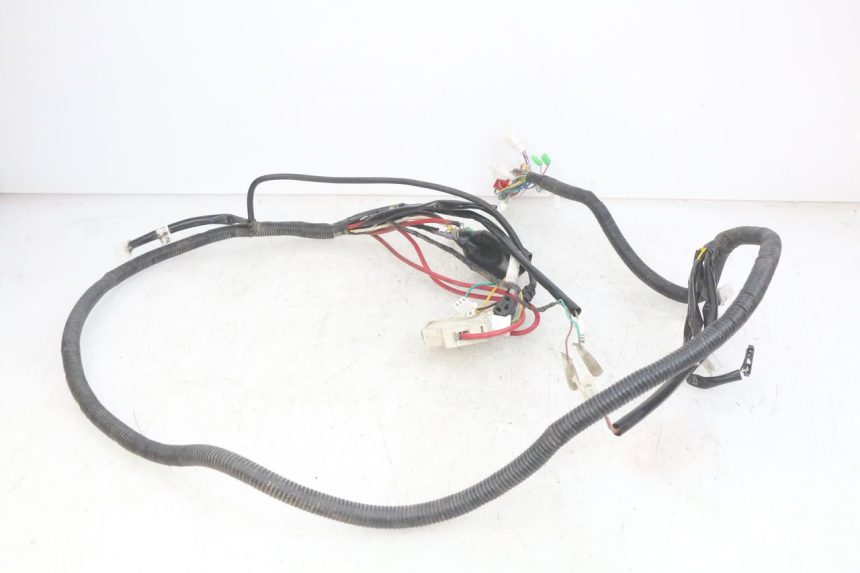 photo de WIRING HARNESS EASY WATTS E-OPAI 1 (2019 - 2024)