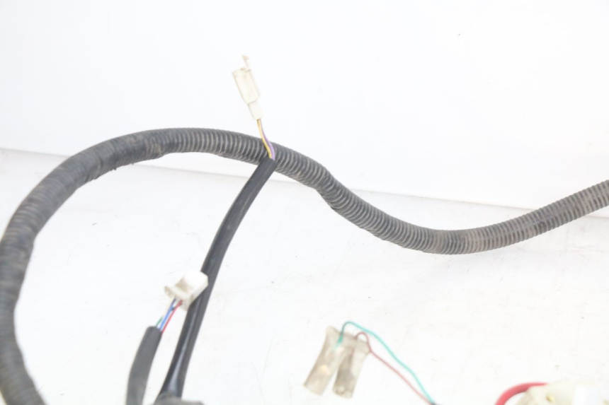 photo de WIRING HARNESS EASY WATTS E-OPAI 1 (2019 - 2024)