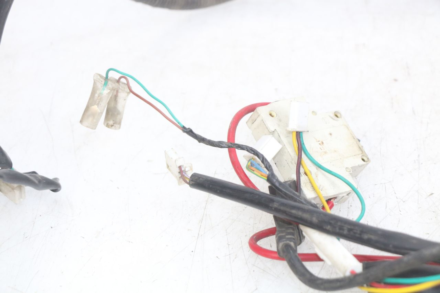 photo de WIRING HARNESS EASY WATTS E-OPAI 1 (2019 - 2024)