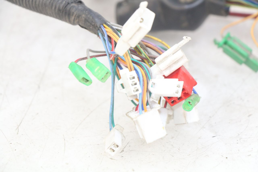 photo de WIRING HARNESS EASY WATTS E-OPAI 1 (2019 - 2024)