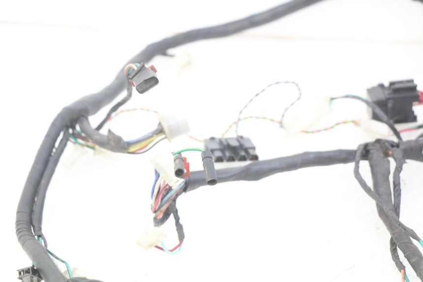 photo de WIRING HARNESS ECCITY ARTELEC 670 1 (2013 - 2017)