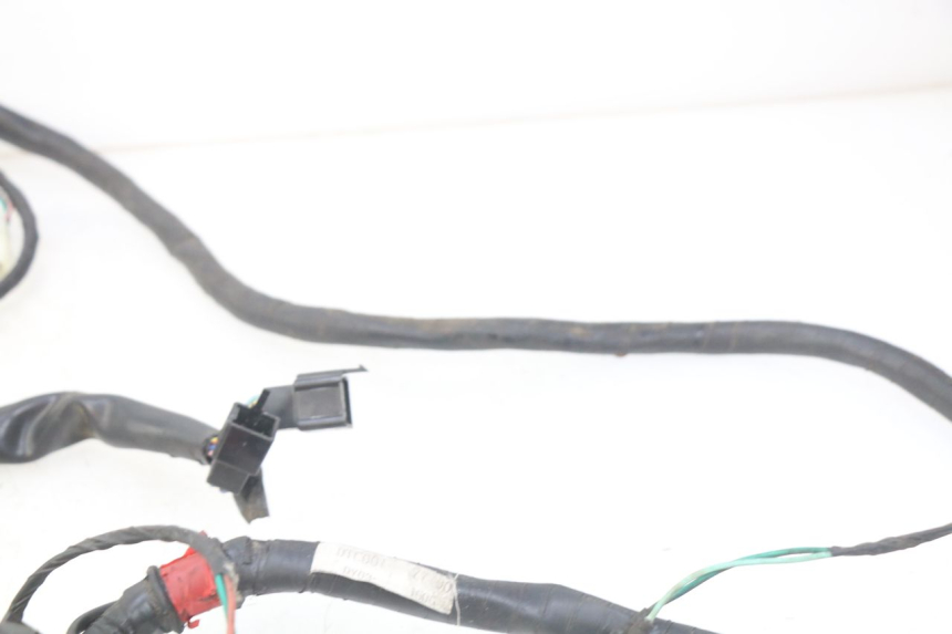 photo de WIRING HARNESS ECCITY ARTELEC 670 1 (2013 - 2017)