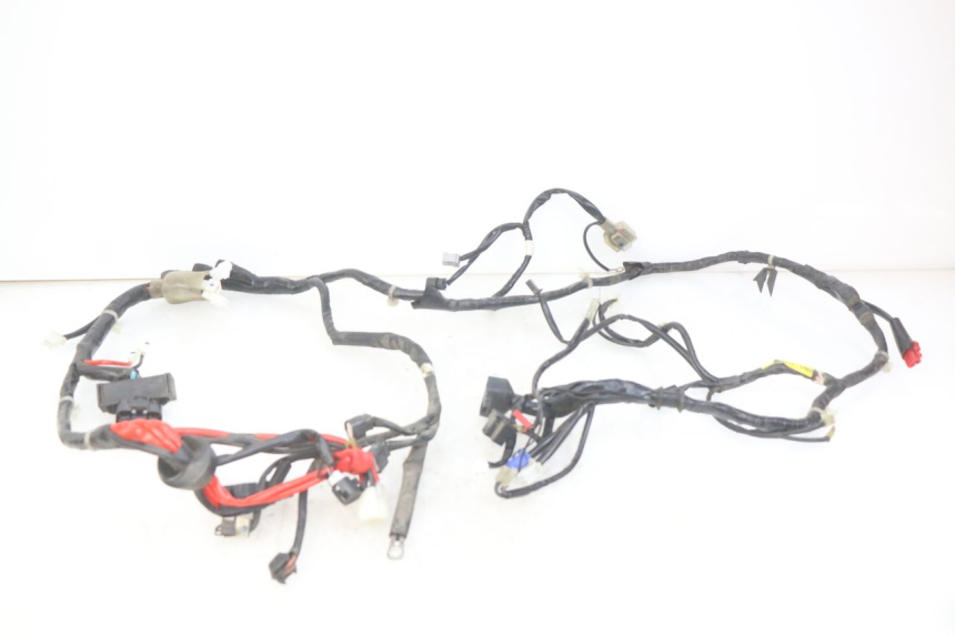photo de WIRING HARNESS YAMAHA D'ELIGHT DELIGHT 125 (2017 - 2020)