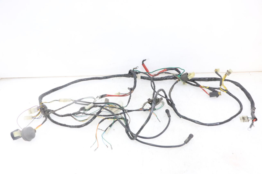 photo de WIRE HARNESS PEUGEOT ELYSEO 125 (1999 - 2004)