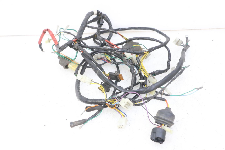 photo de WIRE HARNESS PEUGEOT ELYSEO 125 (1999 - 2004)