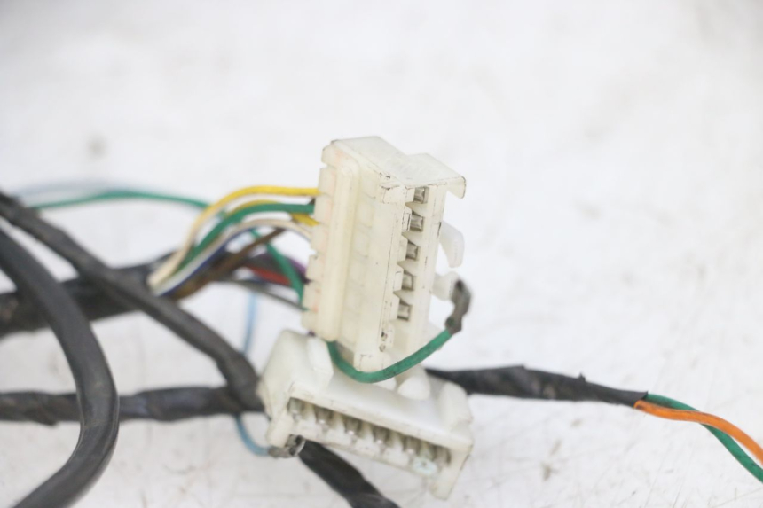 photo de WIRE HARNESS PEUGEOT ELYSEO 125 (1999 - 2004)