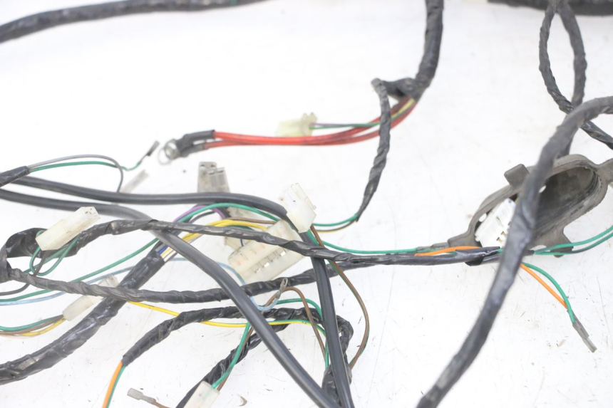 photo de WIRE HARNESS PEUGEOT ELYSEO 125 (1999 - 2004)
