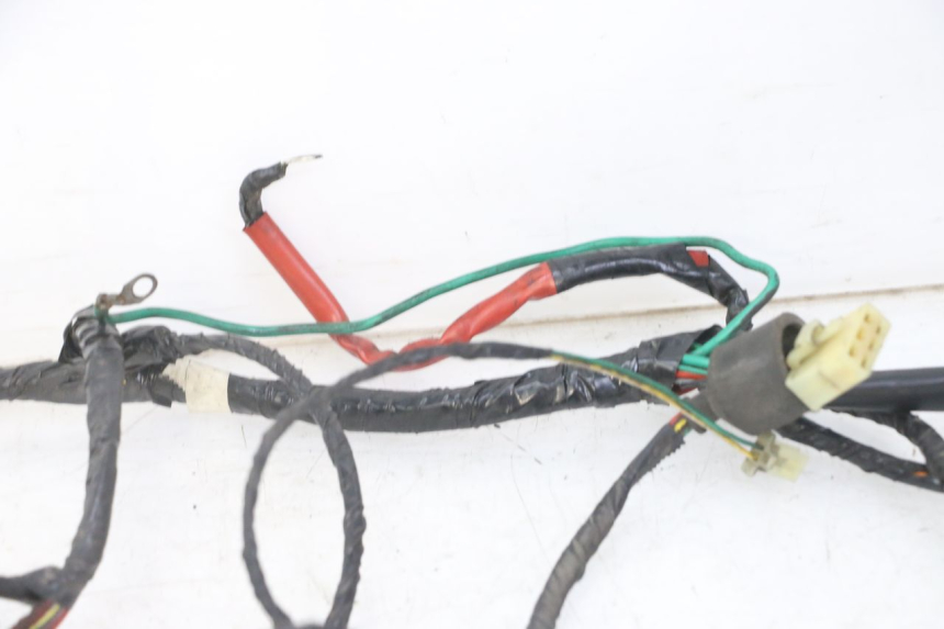 photo de WIRE HARNESS PEUGEOT ELYSEO 125 (1999 - 2004)