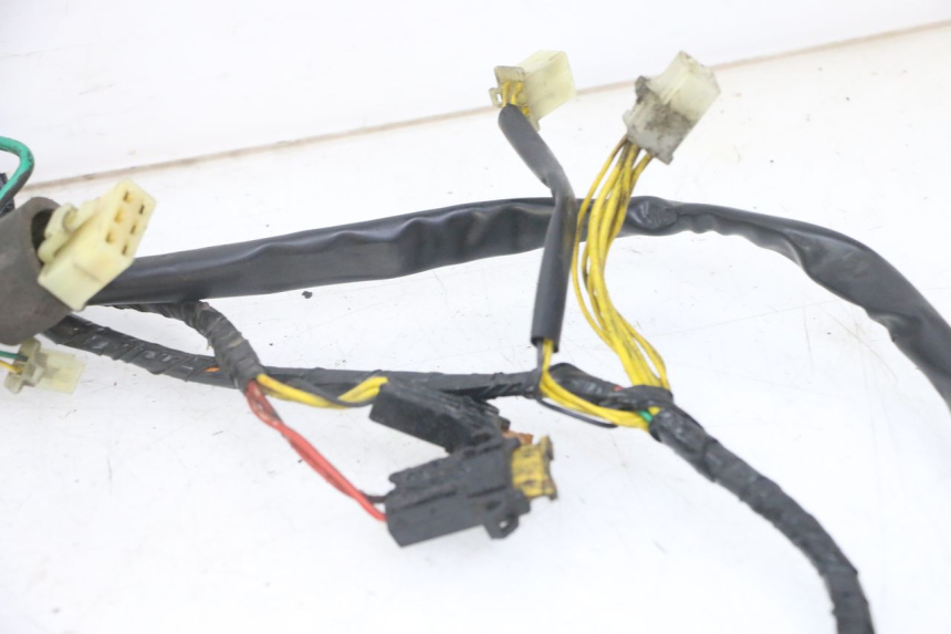 photo de WIRE HARNESS PEUGEOT ELYSEO 125 (1999 - 2004)