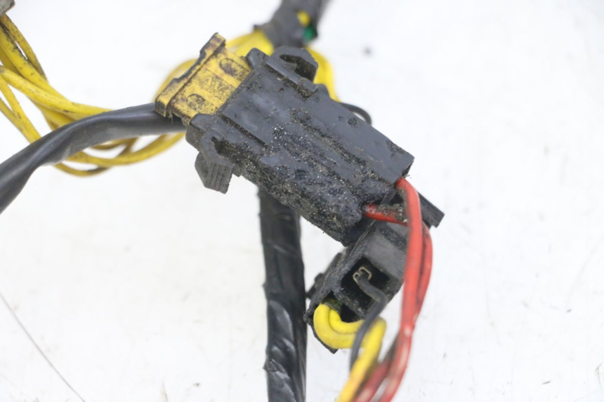 photo de WIRE HARNESS PEUGEOT ELYSEO 125 (1999 - 2004)