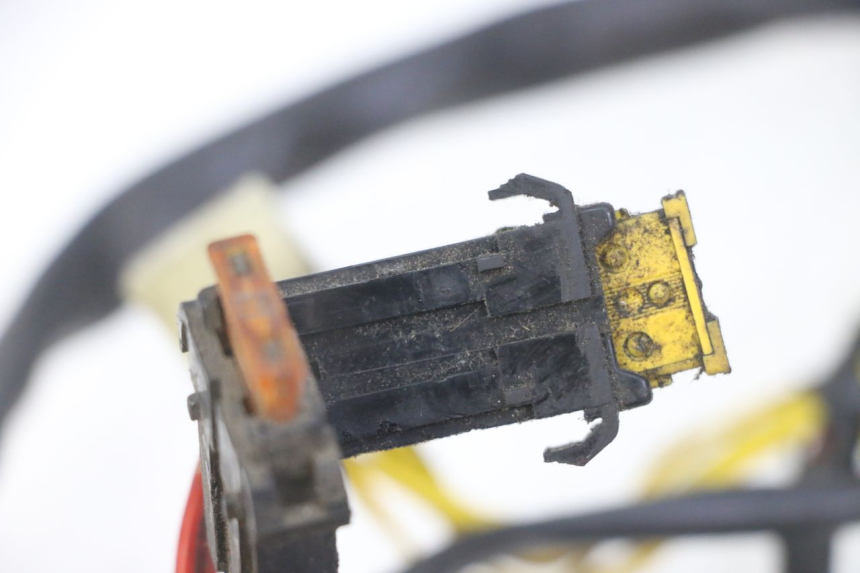 photo de WIRE HARNESS PEUGEOT ELYSEO 125 (1999 - 2004)