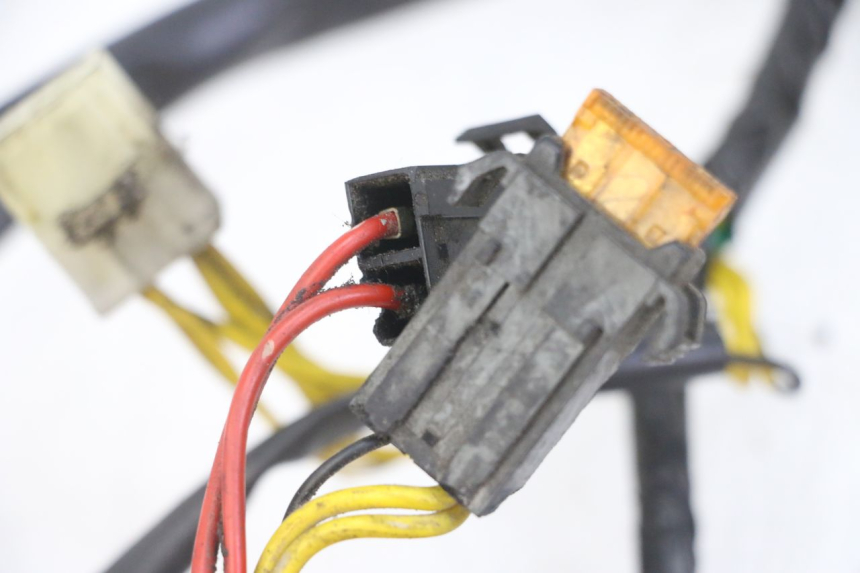 photo de WIRE HARNESS PEUGEOT ELYSEO 125 (1999 - 2004)