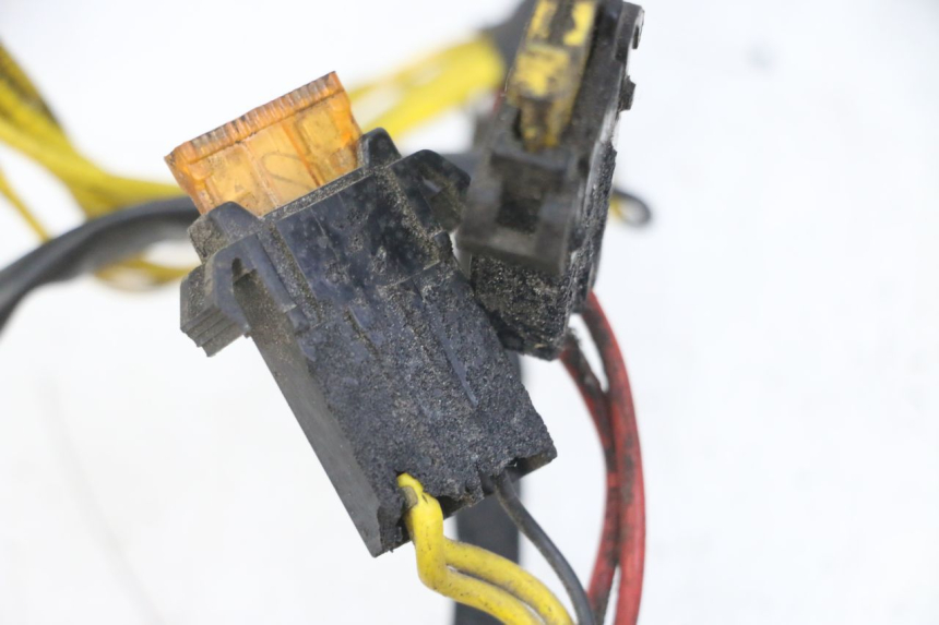 photo de WIRE HARNESS PEUGEOT ELYSEO 125 (1999 - 2004)
