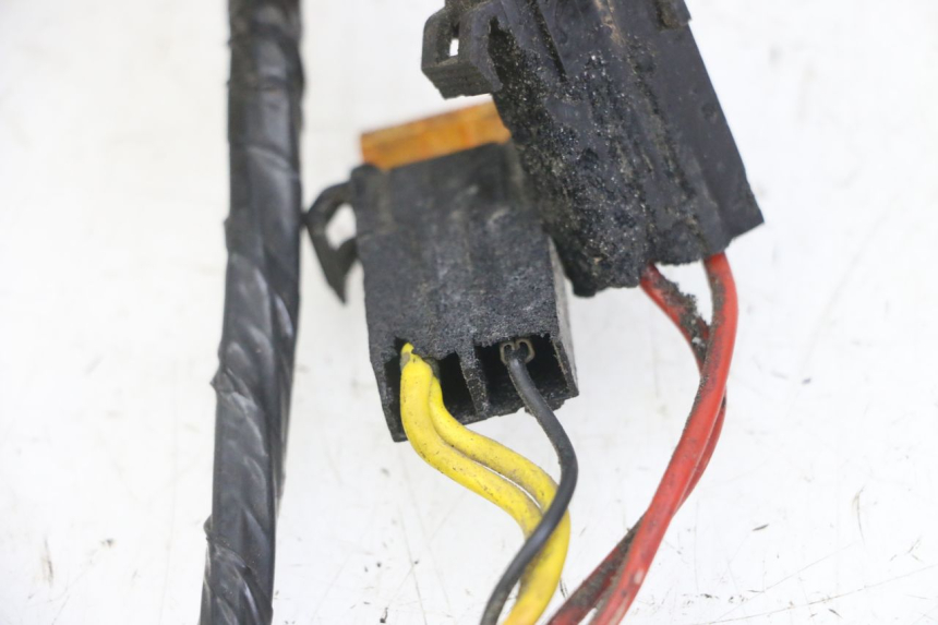 photo de WIRE HARNESS PEUGEOT ELYSEO 125 (1999 - 2004)