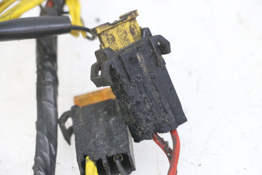 photo de WIRE HARNESS PEUGEOT ELYSEO 125 (1999 - 2004)