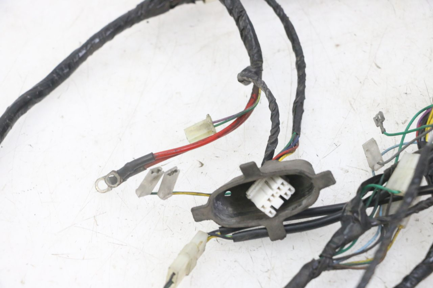 photo de WIRE HARNESS PEUGEOT ELYSEO 125 (1999 - 2004)