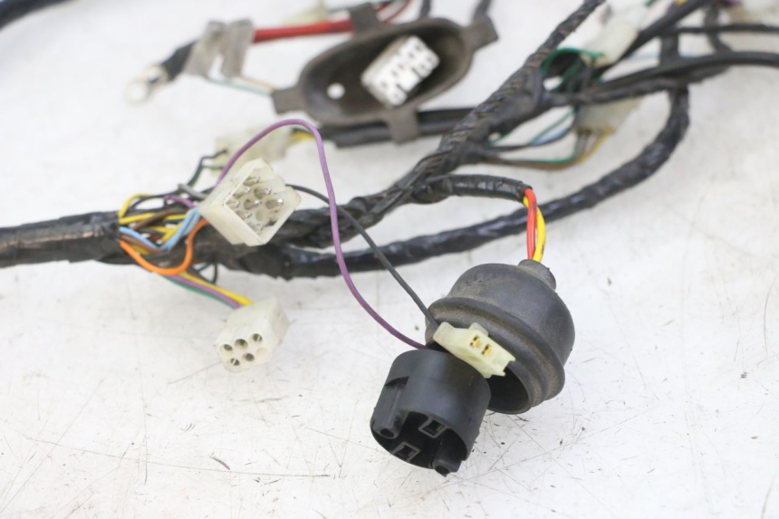 photo de WIRE HARNESS PEUGEOT ELYSEO 125 (1999 - 2004)