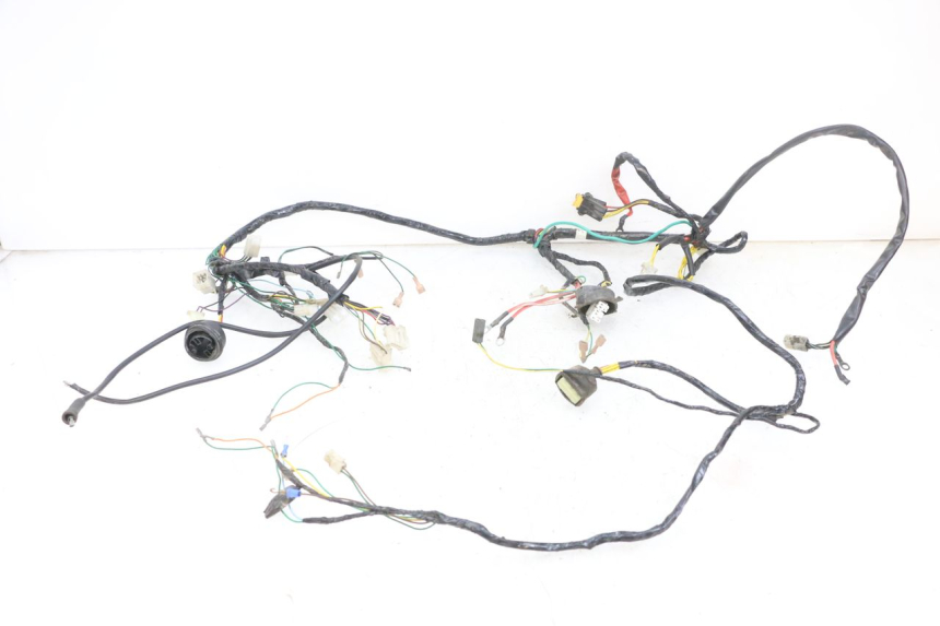photo de WIRE HARNESS PEUGEOT ELYSEO 125 (1999 - 2004) - Main view