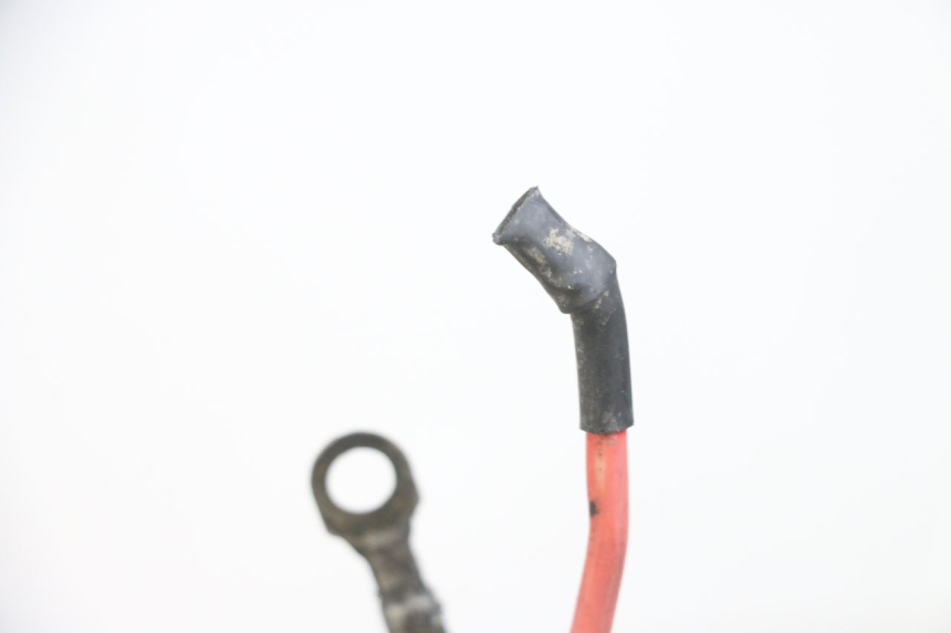 photo de WIRE HARNESS PEUGEOT ELYSEO 125 (1999 - 2004) - Alternative perspective