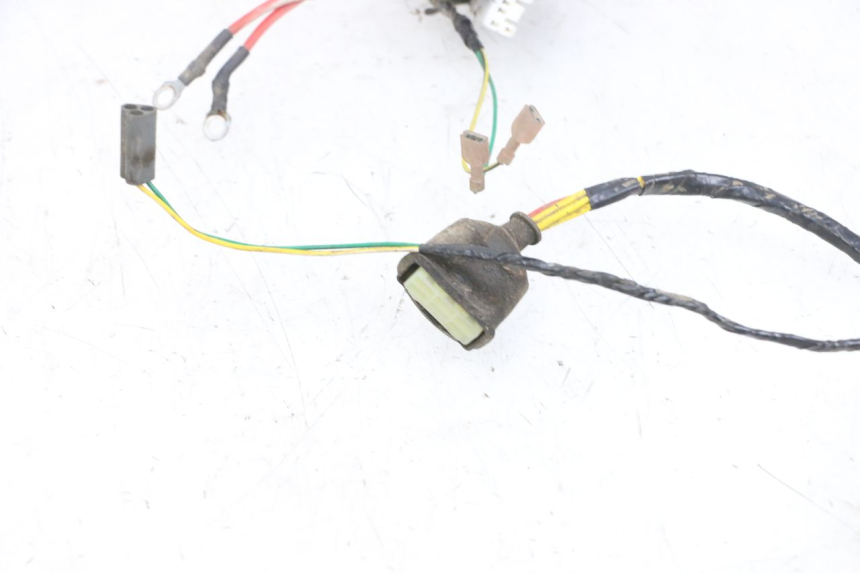 photo de WIRE HARNESS PEUGEOT ELYSEO 125 (1999 - 2004) - Markings and original references