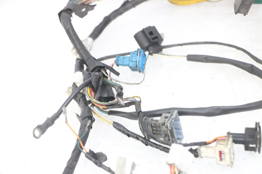 photo de WIRE HARNESS PEUGEOT ELYSTAR 125 (2002 - 2007)