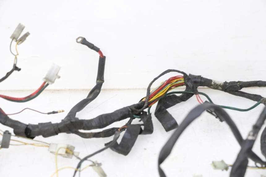 photo de WIRING HARNESS PEUGEOT ELYSTAR 50 (2002 - 2014)