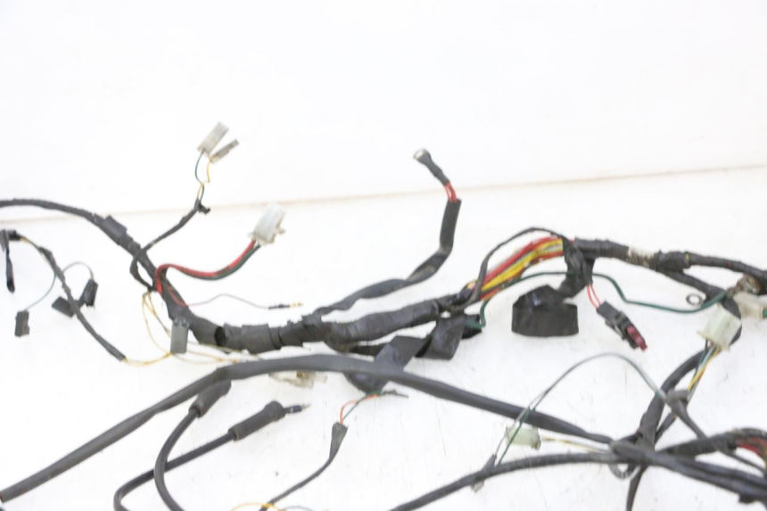 photo de WIRING HARNESS PEUGEOT ELYSTAR 50 (2002 - 2014)