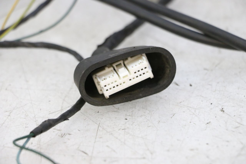 photo de WIRING HARNESS PEUGEOT ELYSTAR 50 (2002 - 2014)