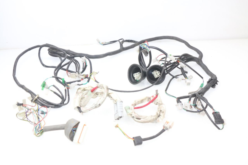 photo de WIRE HARNESS ERIDER CARGO 1 (2009 - 2018)