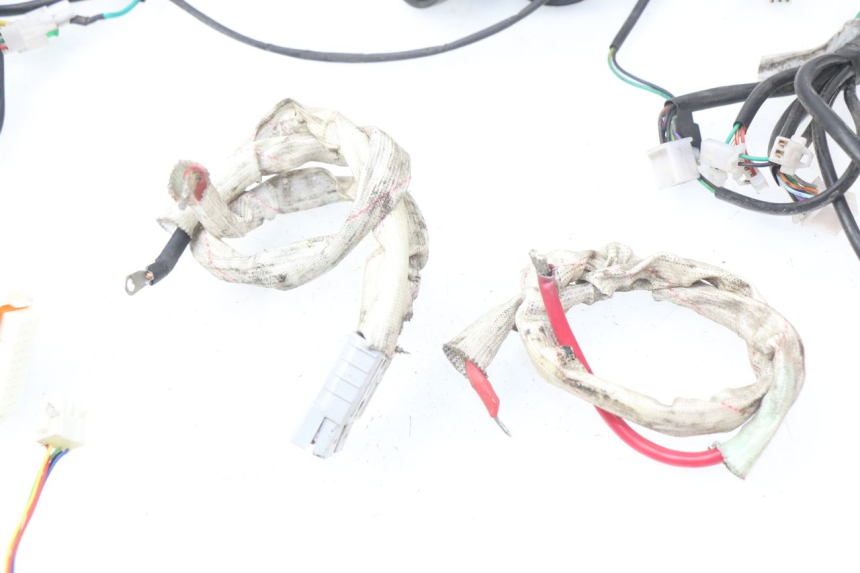 photo de WIRE HARNESS ERIDER CARGO 1 (2009 - 2018)