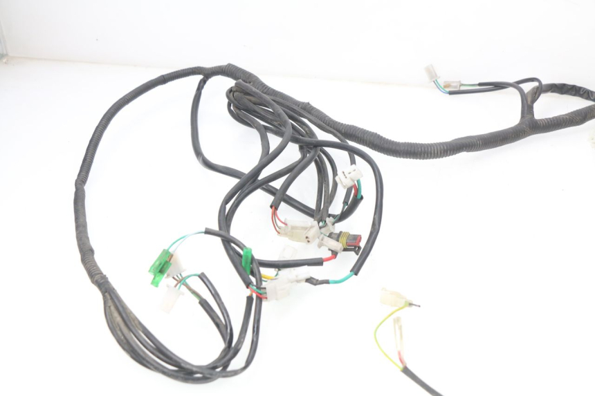 photo de WIRE HARNESS ERIDER CARGO 1 (2009 - 2018)