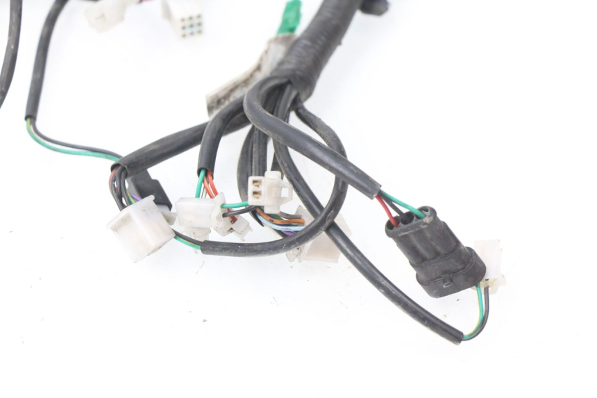 photo de WIRE HARNESS ERIDER CARGO 1 (2009 - 2018)