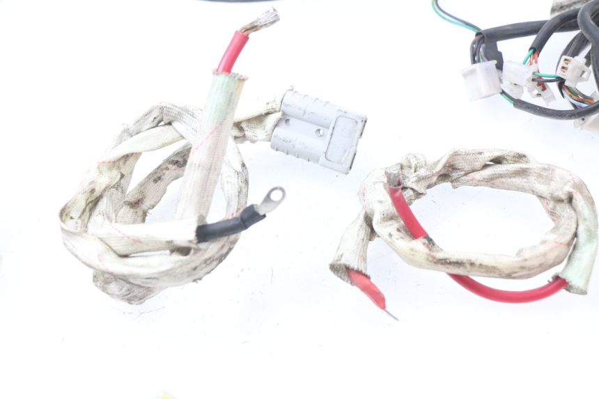 photo de WIRE HARNESS ERIDER CARGO 1 (2009 - 2018)