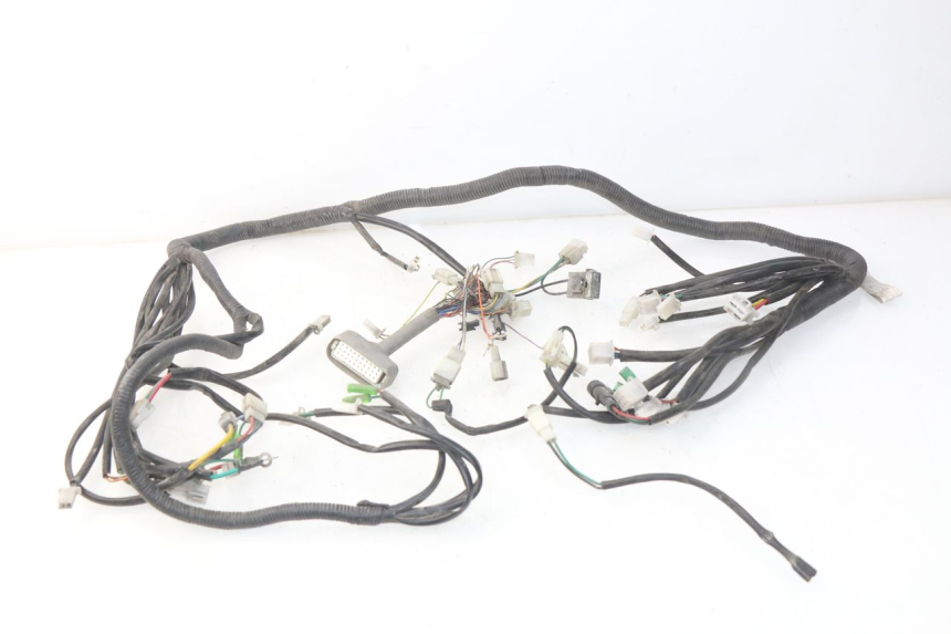 photo de WIRE HARNESS ERIDER CARGO 1 (2009 - 2018)