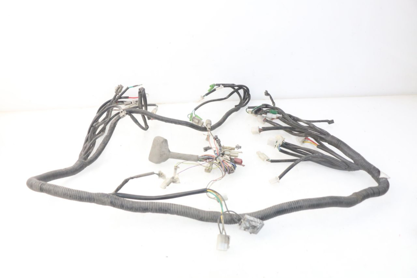 photo de WIRE HARNESS ERIDER CARGO 1 (2009 - 2018)