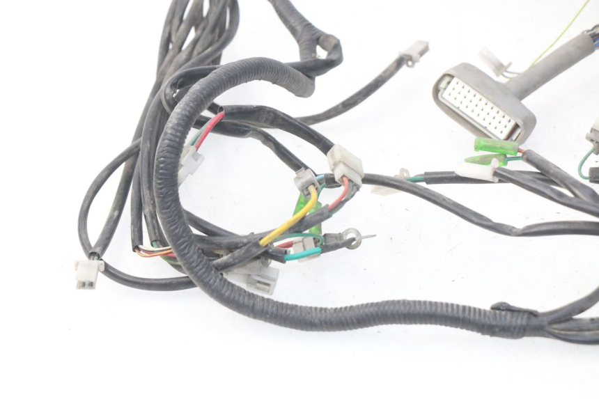 photo de WIRE HARNESS ERIDER CARGO 1 (2009 - 2018)