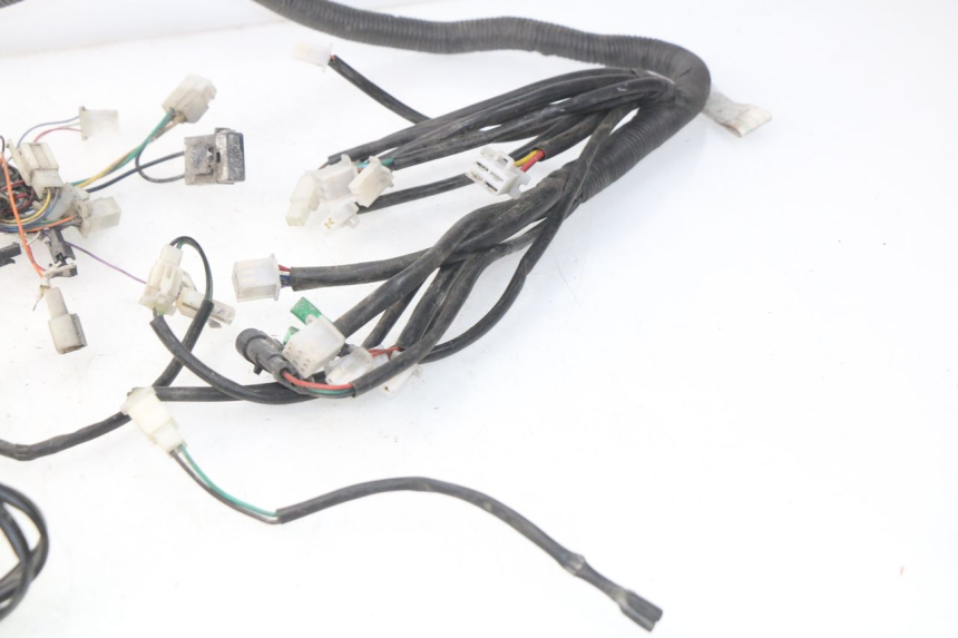 photo de WIRE HARNESS ERIDER CARGO 1 (2009 - 2018)