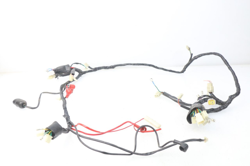 photo de WIRE HARNESS EUROCKA FIFTY 50 (2013 - 2022)