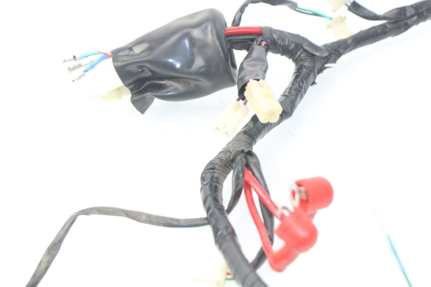 photo de WIRE HARNESS EUROCKA FIFTY 50 (2013 - 2022)