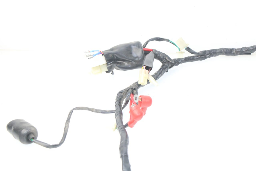 photo de WIRE HARNESS EUROCKA FIFTY 50 (2013 - 2022)