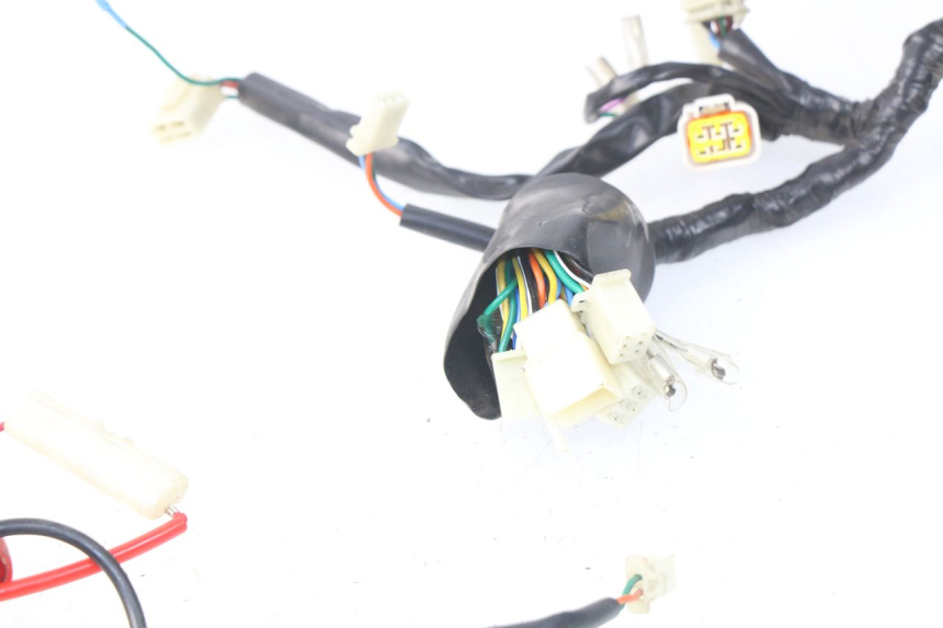 photo de WIRE HARNESS EUROCKA FIFTY 50 (2013 - 2022)