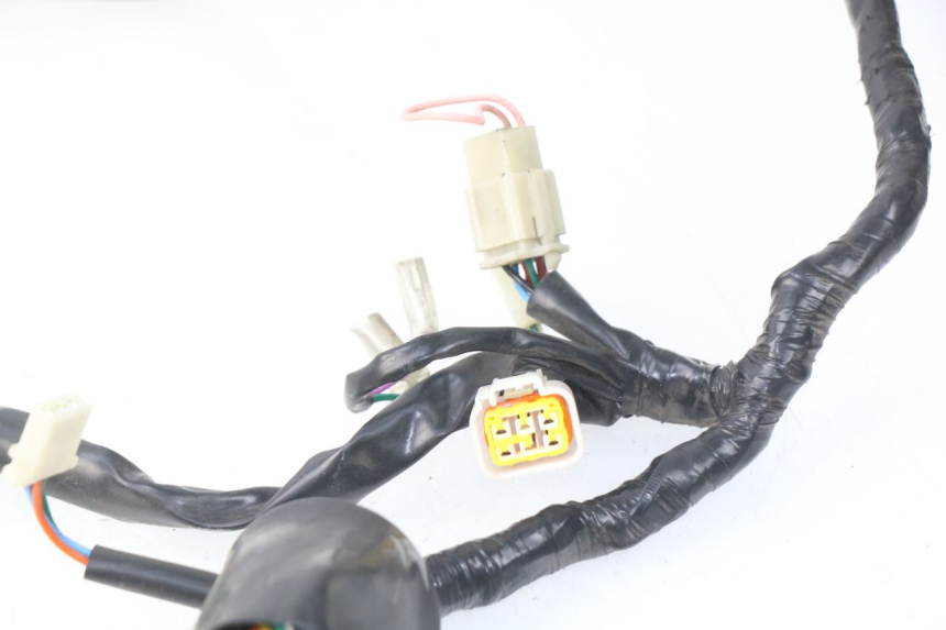 photo de WIRE HARNESS EUROCKA FIFTY 50 (2013 - 2022)