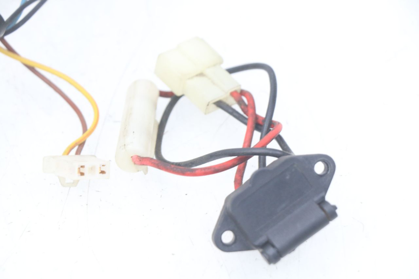 photo de WIRING HARNESS EUROCKA GREEN 1