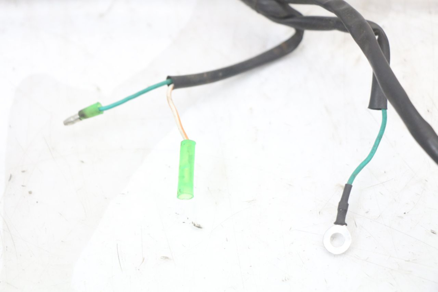 photo de WIRE HARNESS EUROCKA RETRO 50 (2007 - 2014)