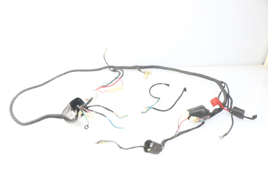 photo de WIRE HARNESS EUROCKA VIRTUALITY GT 4T 50 (2011 - 2017)