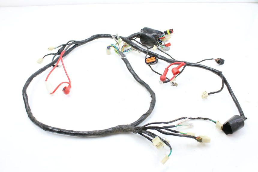 photo de WIRING HARNESS JM MOTORS EVOLIS 4T 50 (2018 - 2022)