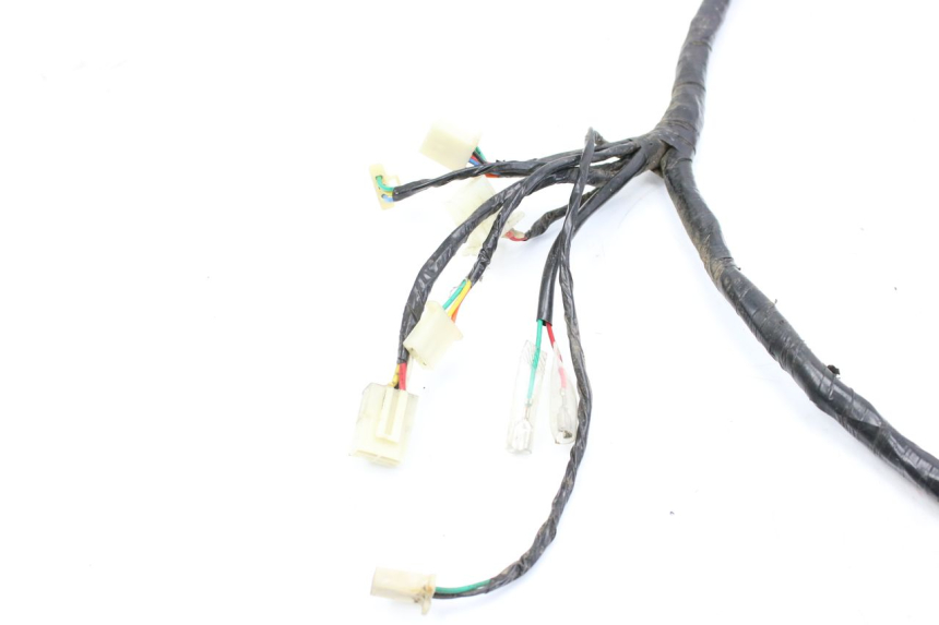 photo de WIRING HARNESS JM MOTORS EVOLIS 4T 50 (2018 - 2022)