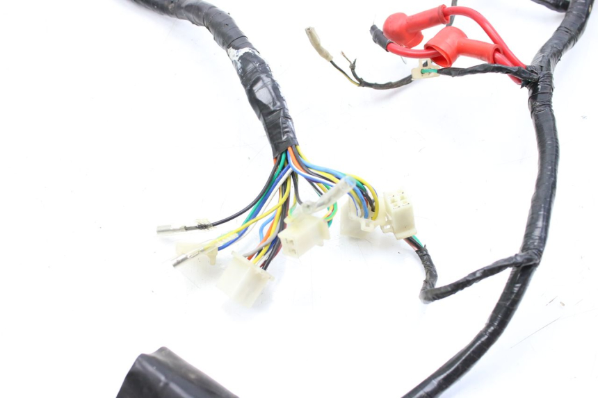 photo de WIRING HARNESS JM MOTORS EVOLIS 4T 50 (2018 - 2022)