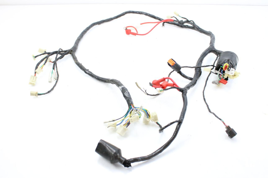 photo de WIRING HARNESS JM MOTORS EVOLIS 4T 50 (2018 - 2022)