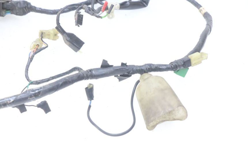 photo de WIRING HARNESS HONDA FES PANTHEON 2T 125 (1998 - 2002)